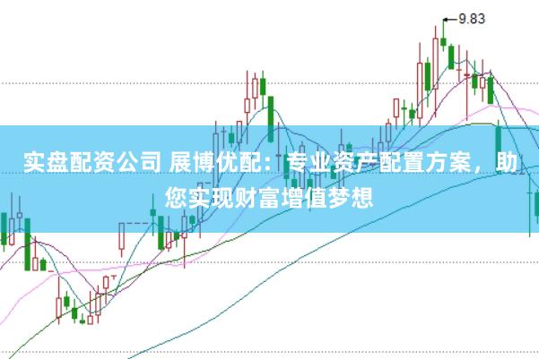 实盘配资公司 展博优配：专业资产配置方案，助您实现财富增值梦想