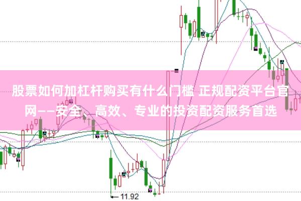 股票如何加杠杆购买有什么门槛 正规配资平台官网——安全、高效、专业的投资配资服务首选