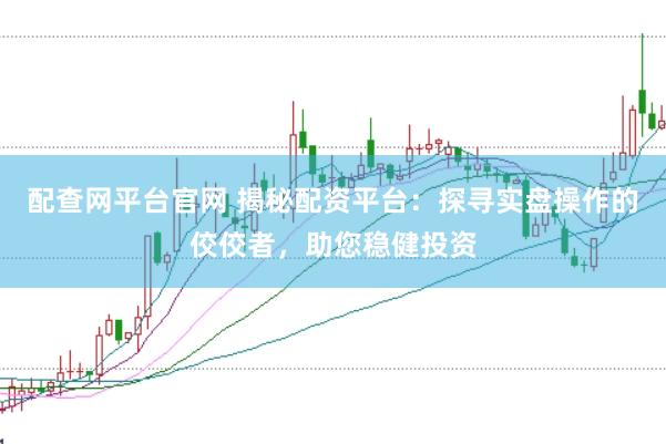 配查网平台官网 揭秘配资平台：探寻实盘操作的佼佼者，助您稳健投资