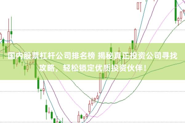 国内股票杠杆公司排名榜 揭秘真正投资公司寻找攻略，轻松锁定优质投资伙伴！