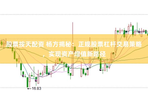 股票按天配资 杨方揭秘：正规股票杠杆交易策略，实现资产增值新路径