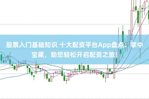 股票入门基础知识 十大配资平台App盘点：掌中宝藏，助您轻松开启配资之旅！