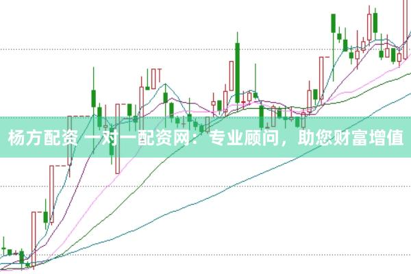 杨方配资 一对一配资网：专业顾问，助您财富增值
