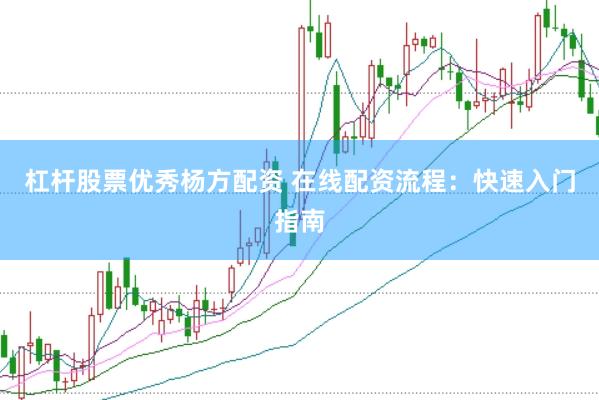 杠杆股票优秀杨方配资 在线配资流程：快速入门指南