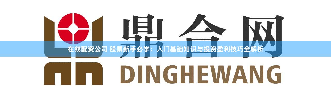 在线配资公司 股票新手必学：入门基础知识与投资盈利技巧全解析