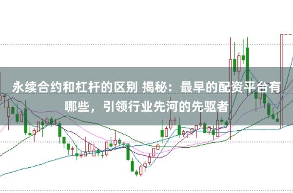 永续合约和杠杆的区别 揭秘：最早的配资平台有哪些，引领行业先河的先驱者