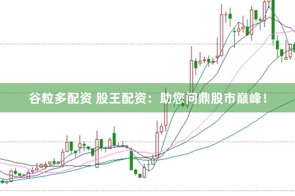 谷粒多配资 股王配资：助您问鼎股市巅峰！