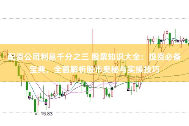 配资公司利息千分之三 股票知识大全：投资必备宝典，全面解析股市奥秘与实操技巧