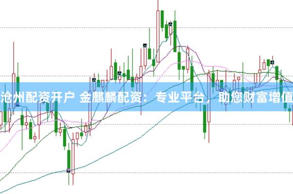 沧州配资开户 金麒麟配资：专业平台，助您财富增值