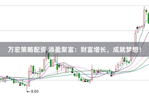 万宏策略配资 添盈聚富：财富增长，成就梦想！