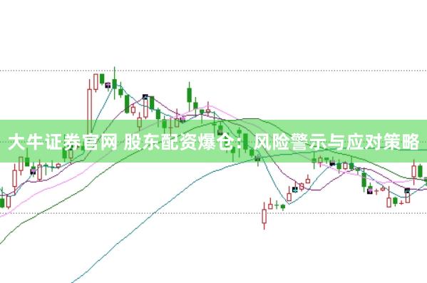 大牛证券官网 股东配资爆仓：风险警示与应对策略