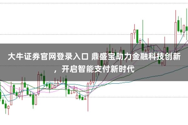 大牛证券官网登录入口 鼎盛宝助力金融科技创新，开启智能支付新时代
