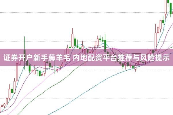 证券开户新手薅羊毛 内地配资平台推荐与风险提示