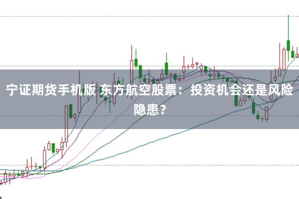 宁证期货手机版 东方航空股票：投资机会还是风险隐患？