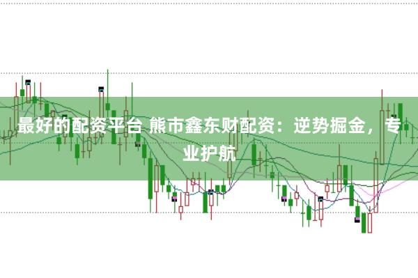 最好的配资平台 熊市鑫东财配资：逆势掘金，专业护航
