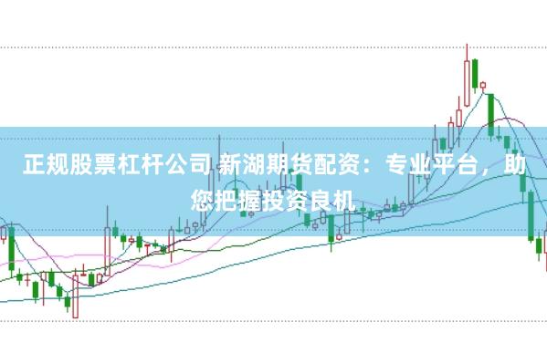 正规股票杠杆公司 新湖期货配资：专业平台，助您把握投资良机