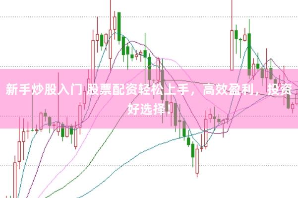 新手炒股入门 股票配资轻松上手，高效盈利，投资好选择！