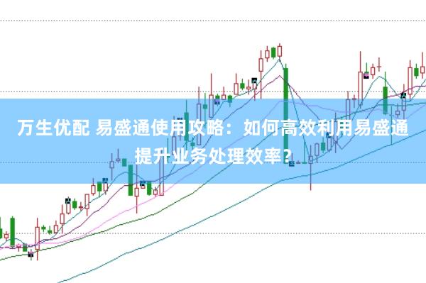 万生优配 易盛通使用攻略：如何高效利用易盛通提升业务处理效率？