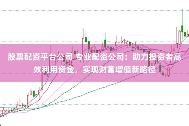 股票配资平台公司 专业配资公司：助力投资者高效利用资金，实现财富增值新路径
